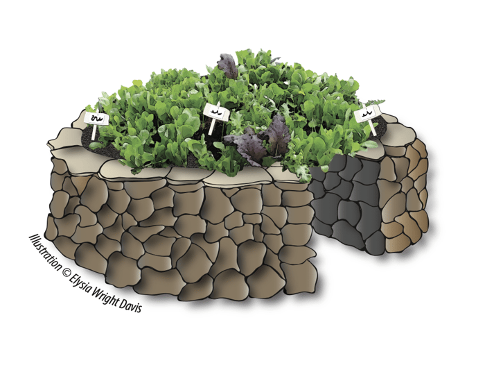 Illustration of a keyhole garden