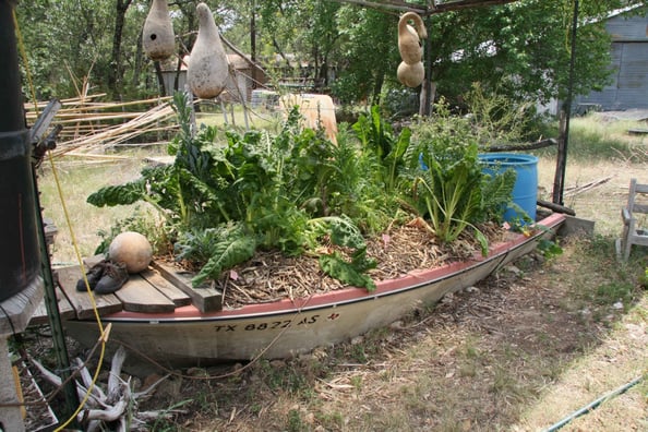 Tolman's Garden