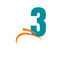 3 3